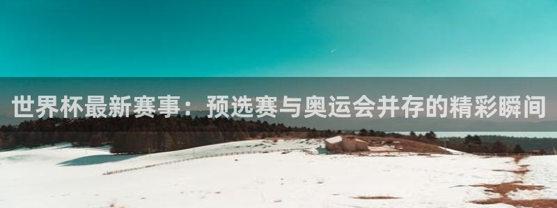 世界杯最新赛事：预选赛与奥运会并存的精彩瞬间