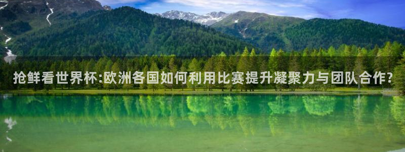 抢鲜看世界杯:欧洲各国如何利用比赛提升凝聚力与团队合作?