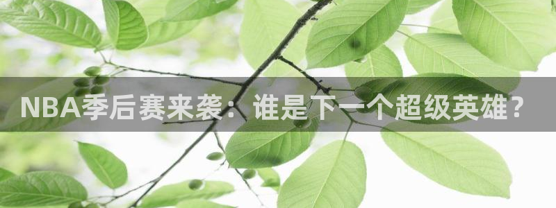 NBA季后赛来袭：谁是下一个超级英雄？