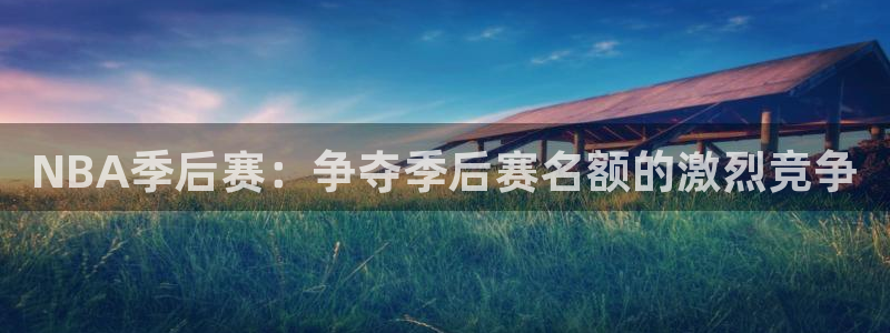 NBA季后赛：争夺季后赛名额的激烈竞争