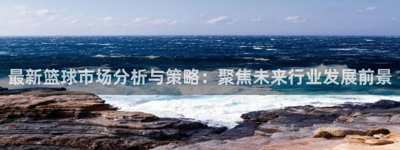 最新篮球市场分析与策略：聚焦未来行业发展前景