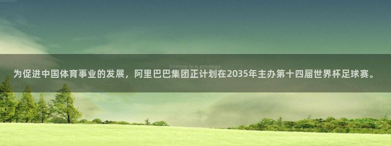 为促进中国体育事业的发展，阿里巴巴集团正计划在2035年主办第十四届世界杯足球赛。