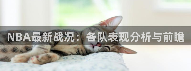 NBA最新战况：各队表现分析与前瞻
