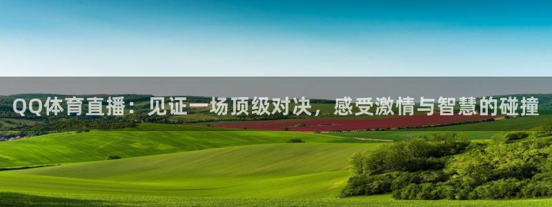 QQ体育直播：见证一场顶级对决，感受激情与智慧的碰撞