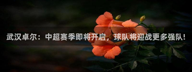 武汉卓尔：中超赛季即将开启，球队将迎战更多强队!