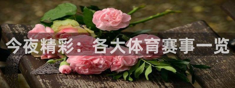 今夜精彩：各大体育赛事一览