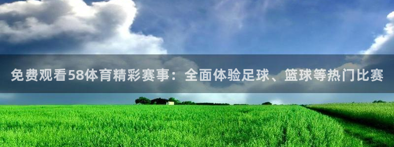 免费观看58体育精彩赛事：全面体验足球、篮球等热门比赛