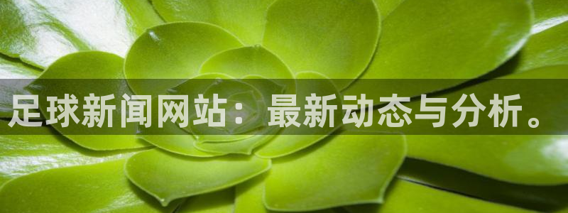 足球新闻网站：最新动态与分析。
