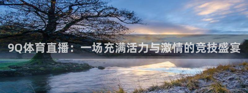 9Q体育直播：一场充满活力与激情的竞技盛宴