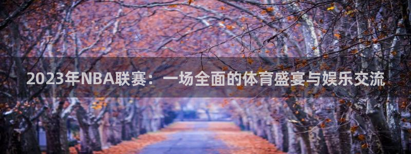 2023年NBA联赛：一场全面的体育盛宴与娱乐交流