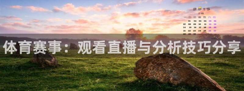 体育赛事：观看直播与分析技巧分享