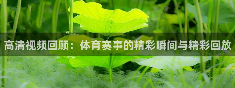 高清视频回顾：体育赛事的精彩瞬间与精彩回放