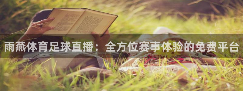 雨燕体育足球直播：全方位赛事体验的免费平台