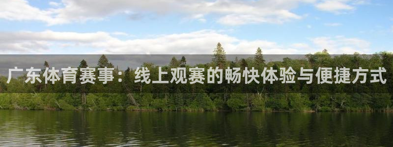 广东体育赛事：线上观赛的畅快体验与便捷方式