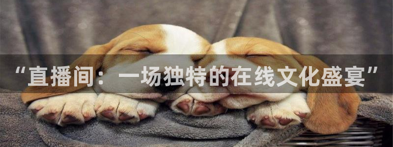 “直播间：一场独特的在线文化盛宴”