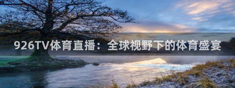 926TV体育直播：全球视野下的体育盛宴