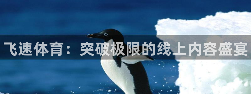 飞速体育：突破极限的线上内容盛宴