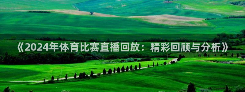 《2024年体育比赛直播回放：精彩回顾与分析》