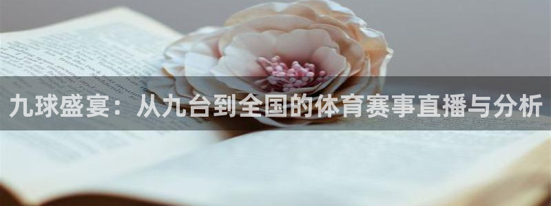九球盛宴：从九台到全国的体育赛事直播与分析