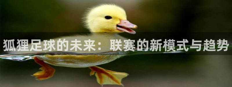 狐狸足球的未来：联赛的新模式与趋势