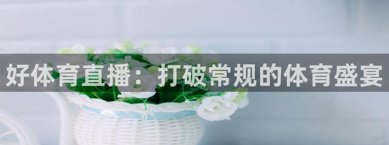 好体育直播：打破常规的体育盛宴