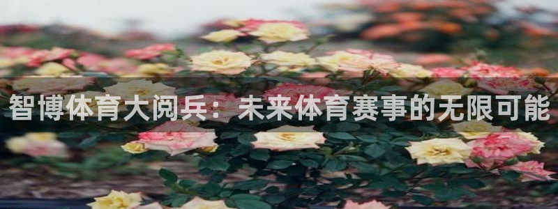 智博体育大阅兵：未来体育赛事的无限可能