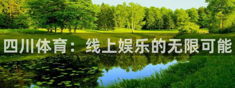 四川体育：线上娱乐的无限可能