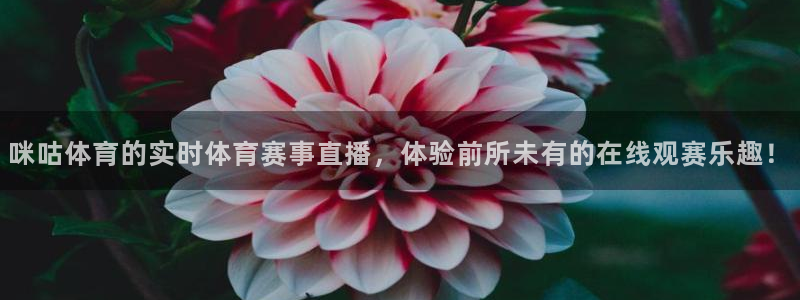 咪咕体育的实时体育赛事直播，体验前所未有的在线观赛乐趣！