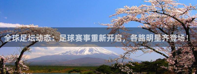 全球足坛动态：足球赛事重新开启，各路明星齐登场！