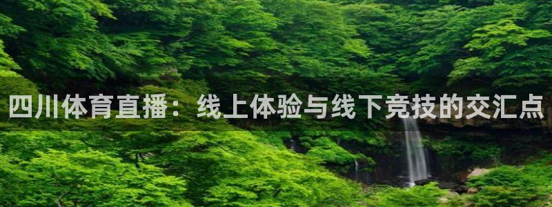 四川体育直播：线上体验与线下竞技的交汇点