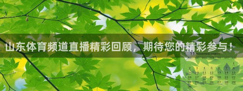 山东体育频道直播精彩回顾，期待您的精彩参与！