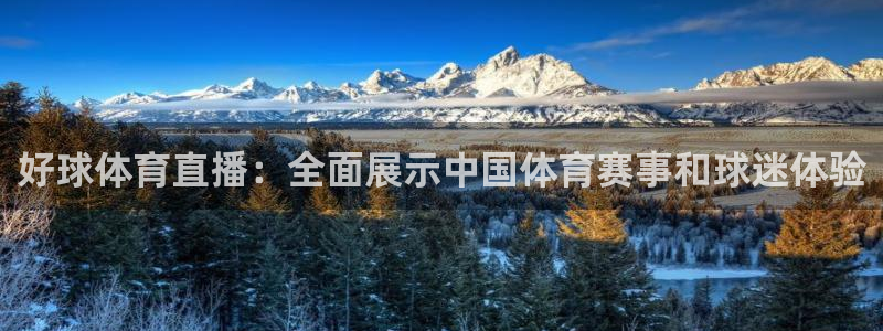 好球体育直播：全面展示中国体育赛事和球迷体验