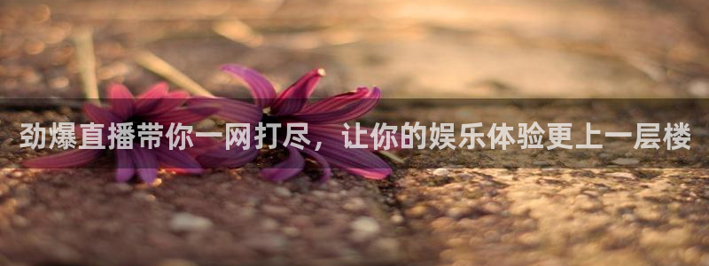 劲爆直播带你一网打尽，让你的娱乐体验更上一层楼