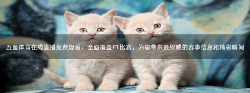 五星体育在线直播免费观看：全面覆盖F1比赛，为您带来最权威的赛事信息和精彩瞬间