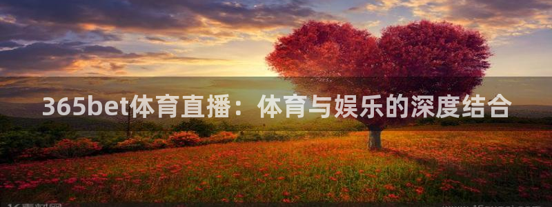 365bet体育直播：体育与娱乐的深度结合