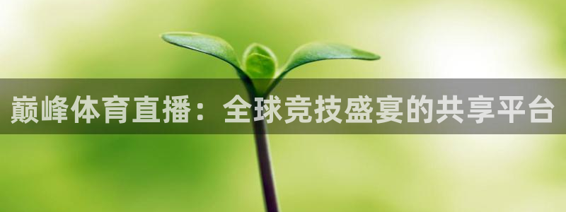 巅峰体育直播：全球竞技盛宴的共享平台