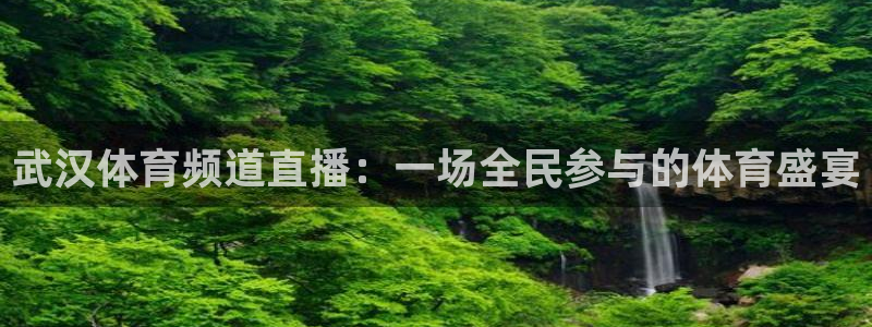 武汉体育频道直播：一场全民参与的体育盛宴