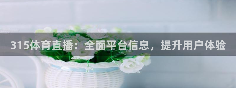 315体育直播：全面平台信息，提升用户体验