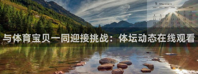 与体育宝贝一同迎接挑战：体坛动态在线观看