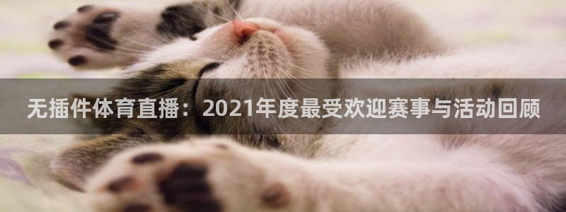 无插件体育直播：2021年度最受欢迎赛事与活动回顾