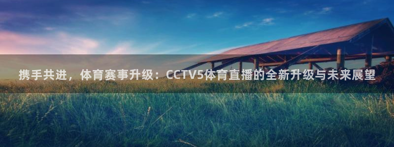 携手共进，体育赛事升级：CCTV5体育直播的全新升级与未来展望