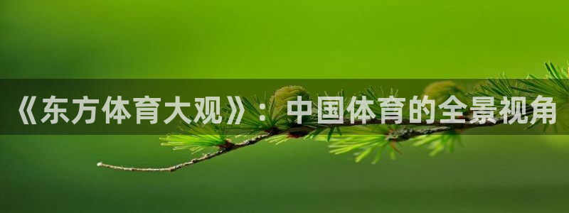《东方体育大观》：中国体育的全景视角