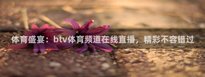 体育盛宴：btv体育频道在线直播，精彩不容错过
