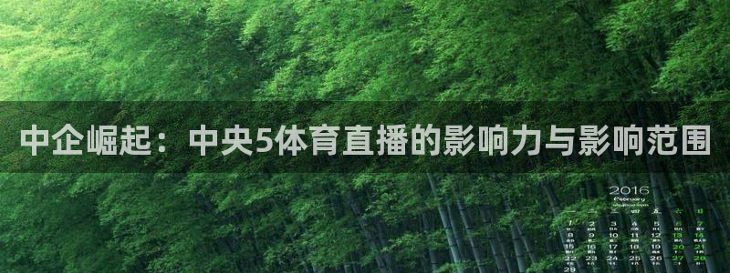 中企崛起：中央5体育直播的影响力与影响范围