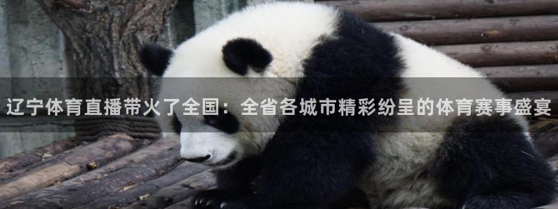 辽宁体育直播带火了全国：全省各城市精彩纷呈的体育赛事盛宴