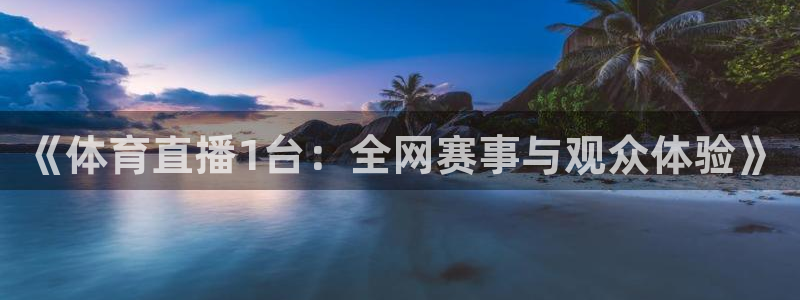 《体育直播1台：全网赛事与观众体验》