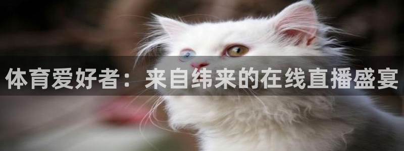 体育爱好者：来自纬来的在线直播盛宴