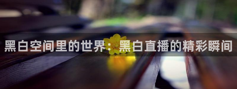 黑白空间里的世界：黑白直播的精彩瞬间
