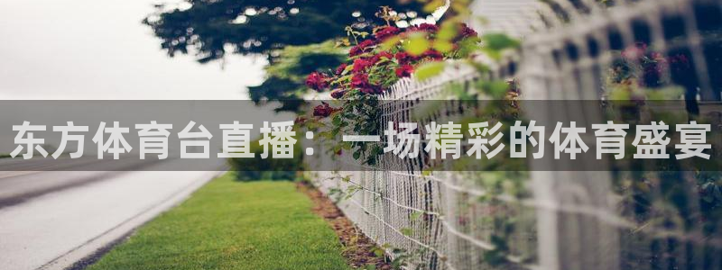 东方体育台直播：一场精彩的体育盛宴