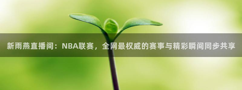 新雨燕直播间：NBA联赛，全网最权威的赛事与精彩瞬间同步共享